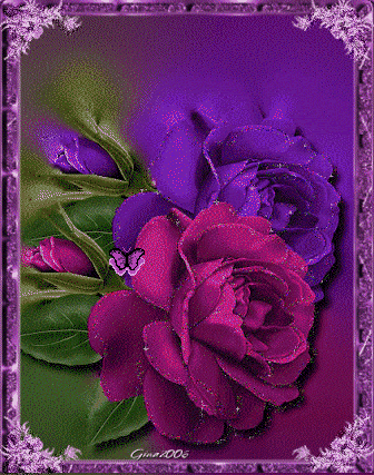 roses600.gif pink and p image by shellsgem