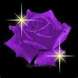 thumbnail.jpg purple rose image by shellsgem