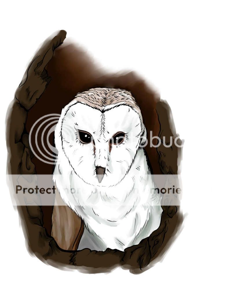 Forum Image: http://i596.photobucket.com/albums/tt45/Rizima/owl.jpg