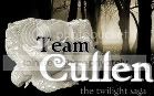 Team Cullen Blog