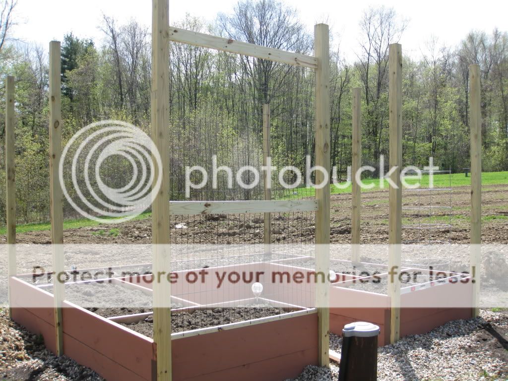 my new, critter proof, raised garden beds - doityourself my new, critter proof, raised garden beds - doityourself