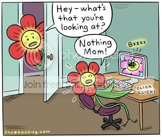 FlowerSex.jpg